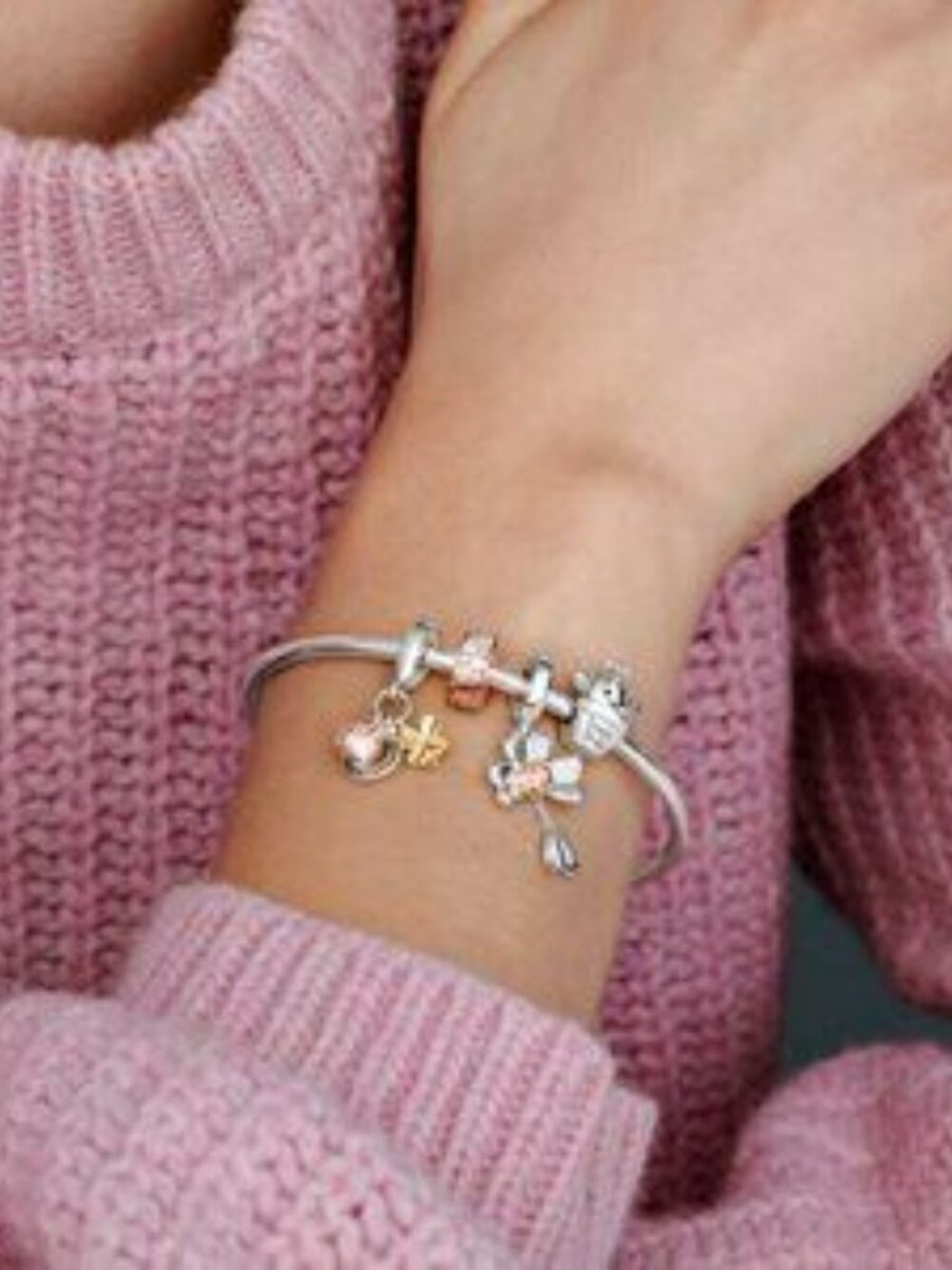 Horseshoe, Clover & Ladybird Dangle Charm